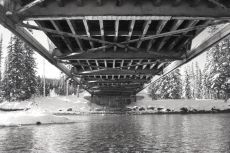 Wooden decked bridges are cool, unless you're under them and a car goes over it, OM-2n, Fomapan 400, A76 1:1