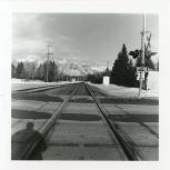 This picture could have been taken 100 years ago, Brownie Hawkeye, FP4+, A76 1:1