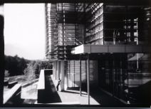 Hanging out at the Kinnear Centre.  5x7 camera using a Kentmere paper negative, 4 sec at f/8, Dektol 1:3