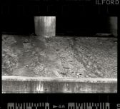 Concrete and algae,  OM-2, Delta 100 film