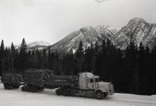 Lots of logs being hauled out of a variable retention site on the West side of Sulphur mountain , OM-2n 28mm, Arista ultra 100, A76 1:1