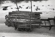 These shorter logs may be used for firewood, OM-2n 24mm, Arista ultra 100, A76 1:1