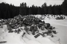 Bucked up logs, ready to split for firewood for the Tunnel Mountain campsite, OM-2n 24mm, Arista ultra 100, A76 1:1