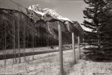 A fence lining the highway, OM-2n, Arista edu 400, L76 1:1